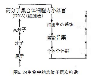 捕获.JPG